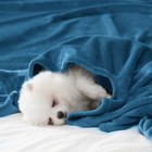 Fleece Throw Blanket For Couch Sofa Or Bed Throw Size  Soft Fuzzy Plush Blank   