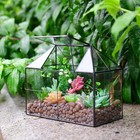 Large Glass Terrarium House Planter Succulent Plant Greenhouse With Lid