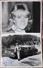 50 Hand Signed Celebrity Picture Collection Lot From Donald Elmblad Estate