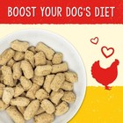 Stella   Chewy s Freeze-dried Raw Dog Food Hip   Joint Chicken 13oz