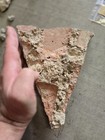 Berlin Wall Pieces  2 To 3  Souvenir From The Wall In Germany With Plaque
