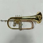 New Fg8278 Brass Body Gold Lacquer Tone Bb Flugelhorn  Quality Instrument 