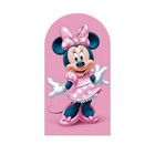 Minnie Mouse Arch Backdrop Cover Girls Birthday Party Photo Background Prop