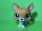 Authentic Lps Littlest Pet Shop  639 Diamond Corgi Dog Fancy Puppy Figure Brown
