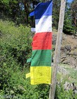 Usa Seller Tibetan Buddhist Vertical  Pole Prayer Flags Darchor 75x19  Nepal