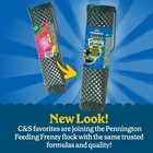  Wire Wild Bird Feeder 11 Inch X 3 Inch X 3 Inch