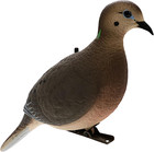 Avian X Full Body Dove Decoys 6pk