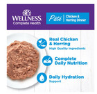 Wellness Complete Health Grain Free Chicken   Herring Pate Cat Food  12 5 Oz  12