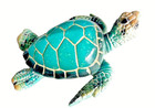 Sea Turtle Figurine 3 25  Long Textured Polystone Aqua Color Home Decor Gift