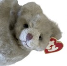 Ty Cuzzy Bear Jointed Plush By Sally Winey