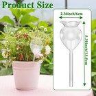 8 Pack Self Watering Globes clear Glass Plant Water Bulbs hand Blown Automatic P
