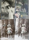 Vintage Horse Pony Little Girl   Lady Photo Postcard Lot Of 16 Actress Model 