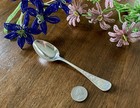 Ivy Aka Antique Ivy Engraved  By Tiffany Sterling Silver Teaspoon 6   