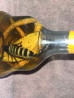 30 Year Old Real Cobra And A Scorpion In A Large X O Bottle  7 5  High