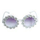 Round Daisy Flower Costume Glasses White Purple Yellow 1960s Theme