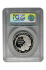 2009-w 1 Oz American Platinum Eagle Pcgs Pr-70 Dcam Fs