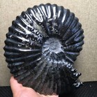 1225g  Natural Black Polishing Stone Sculptor Decoration Fb1843