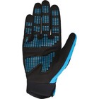 Fox Racing Dirtpaw Drive Polaris Motorcycle Gloves   Blue black
