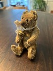 Early Antique Steiff Mohair Teddy Bear Trailing F Button 5  1906-1925