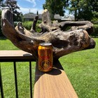 Large Driftwood Root 21x13x20     Dark Grain For Reptiles  Tanks  Or Decor
