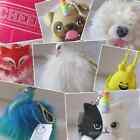 Bath   And Body Works Limited Edition Seasonal Pocketbac Pb Pal Holder