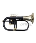 Flugel Horn Black Brass Finish Bb Pitch With Hard Case And Mouthpiece fast Ship