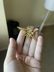 Gold Tone Starburst Brooch Pin Clear Rhinestone Atomic Vintage Style Costume Jew