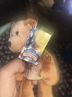 Limited Treasures Coin Bear 2000 Golden Dollar Coin Sacagawea And Pomp 2002 
