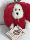 Boyds Bear Tommy Tomato The Head Bean Collection Plush Stuffed Animal New Tag