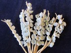 Lily Of The Valley Light Pale Blue Vintage Millinery Flower 2 Bunch Lot Mj