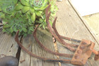 Vintage Iron Push Plow 5 Tine Cultivator Head Only Country Barn Decor
