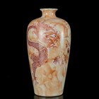 9  A Pair Chinese Porcelain Handpainted Exquisite Dragon Pattern Vase