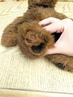 Russ Berrie Timber The Grizzly Bear Plush 12  Brown Teddy Bear Stuffed Animal