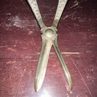 Victorian Era Grape Scissors 
