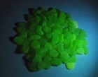 100  Pcs Pale Lime Green Beach Combed Sea Glass  Uv Vaseline Glass  Mediums