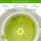 Uvernal Organic Matcha Pure Green Tea Powder For Drinking Or Baking 1 Lb Sealed