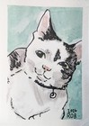Aceo Custom Pet Portrait Watercolor And Ink 2 5x3 5 Inch Dog Cat Painting 