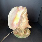 Large Vintage Conch Shell Lamp Night Light Accent Light W  In-line Power Switch