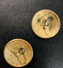 Ex Rare Antique Art Nouveau Floral Pair Brass cut Steel Buttons ca  1880   s 1890s