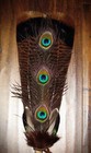 Native American Smudge Fan Turkey Tail Cerimonial Regalia