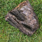 Petrified Wood Museum Grade