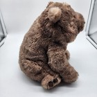 Jellycat Wonda Wombat Medium 9  Brown Plush Stuffed Animal Rare Retired Nwt