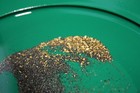 3 Pounds Rich Unsearched Gold Paydirt - Gold Panning Concentrates Added Gold 