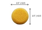 7 Synthetic And Natural Silk Sponges For Painting  Crafts  Ceramics  Pottery