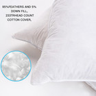 14 x24  Pillow Inserts Soft Feather Pillow Set Of 2 Indoor Decorative Sofa Down 