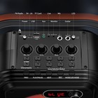Karaoke Machine Speaker System W  2 Wireless Mics   Remote     Portable Bluetooth