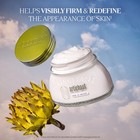 L occitane Artichoke Body Cream 7 00 Fl Oz
