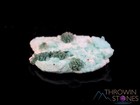 Malachite   Chrysocolla On Quartz Raw Crystal Cluster  Home Decor  Stones  40026