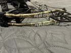Bear Radiant Rth Ready To Hunt