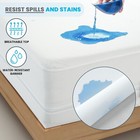Zippered Mattress Encasement Waterproof Protector Hypoallergenic Mattress Cover